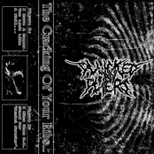 The Cracking of Your Ribs... - Single