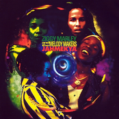 Raw Riddim by Ziggy Marley & The Melody Makers