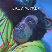 Dance like a monkey