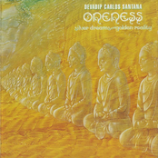 Oneness- Silver Dreams Golden Reality