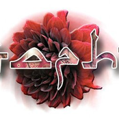 Metaphra (tbc) (20/08/2010 17:05:05)