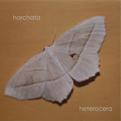 Venation by Horchata