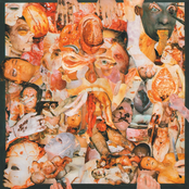 Foeticide by Carcass