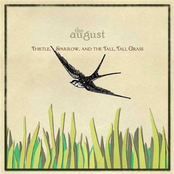 Thistle, Sparrow, And The Tall, Tall Grass