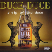 A Sip Of The Duce