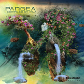 Pangea (Compiled by Pila)