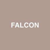 Falcon (feat. Raury)