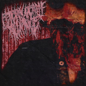 Leave No Trace of Human Life