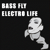 Bass Fly