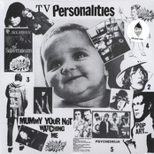 Magnificent Dreams by Television Personalities