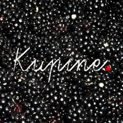 Kupine