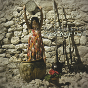 The Martin Harley Band: Grow Your Own