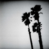 Number Nine by The Twilight Singers