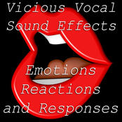 Vicious Vocal Sound Effects 8 - Emotions | Reactions and Responses