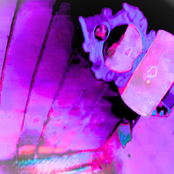 Follow Lonely Crowds As Clouds