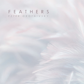 Feathers