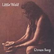 Eagle Dream by Little Wolf Band
