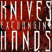 Surfacing the Breath...