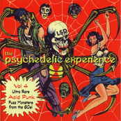 The Psychedelic Experience Vol. 4