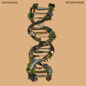 EazyBaked: INTERTWINED