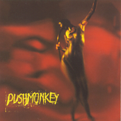 Now by Pushmonkey