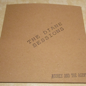 The Diane Sessions