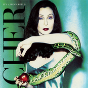 Cher: It's a Man's World