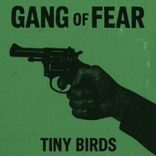 Tiny Birds