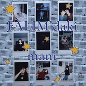 Falımdaki Mani