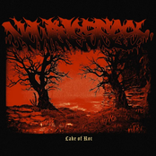 Lake of Rot