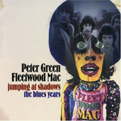 Jumping At Shadows: The Blues Years