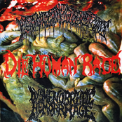 Feclulent Goretomb / Die Human Race / Dysmenorrheic Hemorrhage