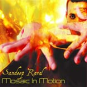 Sandeep Raval - Mosaic In Motion