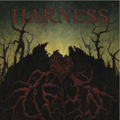 Disgrace/Harness split