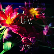 Wish - Single