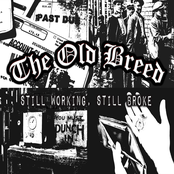 Still Working, Still Broke