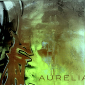 Aurelia