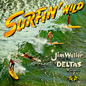Surfin' Wild (Digitally Remastered)