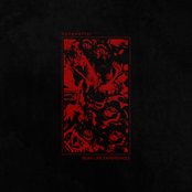 Near Life Experiences