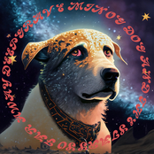 And the Stars So Far Away