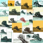 Hemos Roto los Espejos