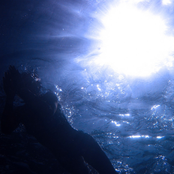 Reflections -