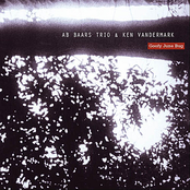 Then He Whirled About by Ab Baars Trio & Ken Vandermark