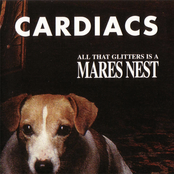 Visiting Hours by Cardiacs