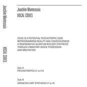 Vocal Codes
