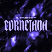 Cornetada