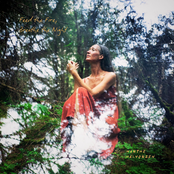 Feed the Fire, Breathe the Night