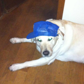 you're so perfect <333