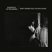 Don't Wanna Fall in Love Again