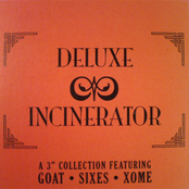 Deluxe Incinerator